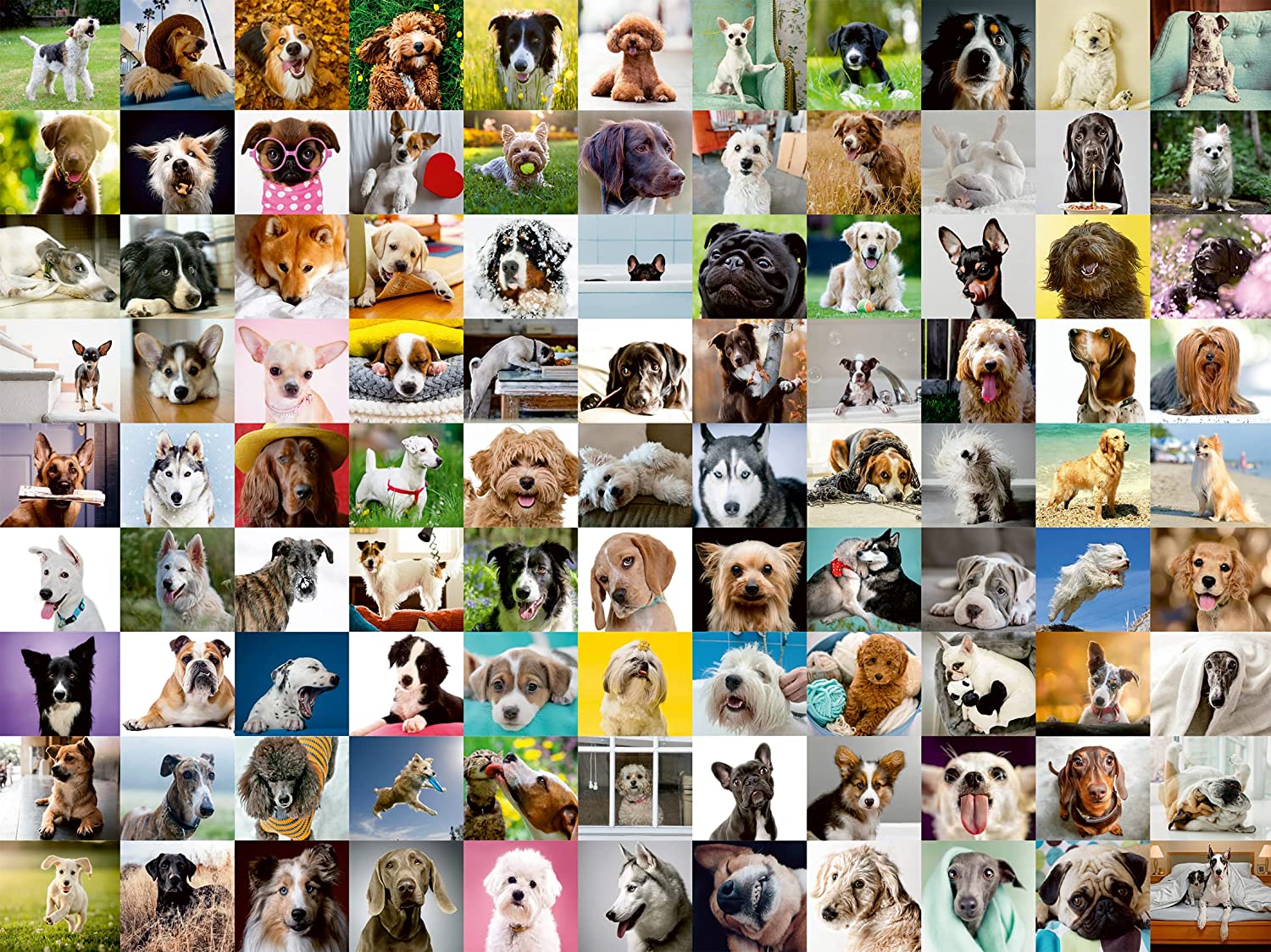 99 Lovable Dogs – 750 Piece Jigsaw Puzzle (Ravensburger)