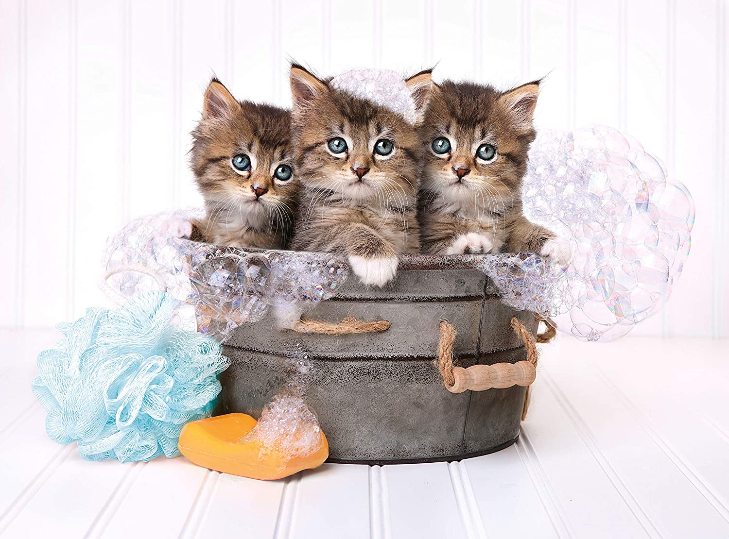 Kittens and Soap – 500 Piece Jigsaw Puzzle (Clementoni)