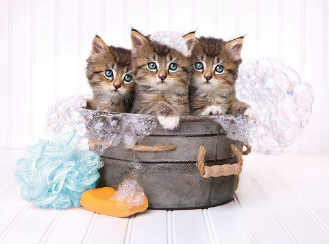 Kittens and Soap – 500 Piece Jigsaw Puzzle (Clementoni)