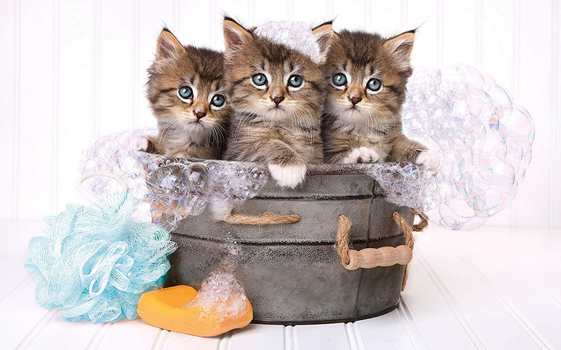 Clementoni Jigsaw Puzzles image