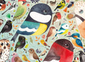Matt Sewell's Our British Birds by Matt Sewell – 500 Piece Jigsaw Puzzle (Ravensburger)