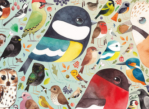 Matt Sewell's Our British Birds by Matt Sewell – 500 Piece Jigsaw Puzzle (Ravensburger)