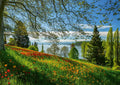Spring Avenue, Mainau – 1000 Piece Jigsaw Puzzle (Schmidt)