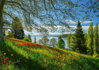Spring Avenue, Mainau – 1000 Piece Jigsaw Puzzle (Schmidt)