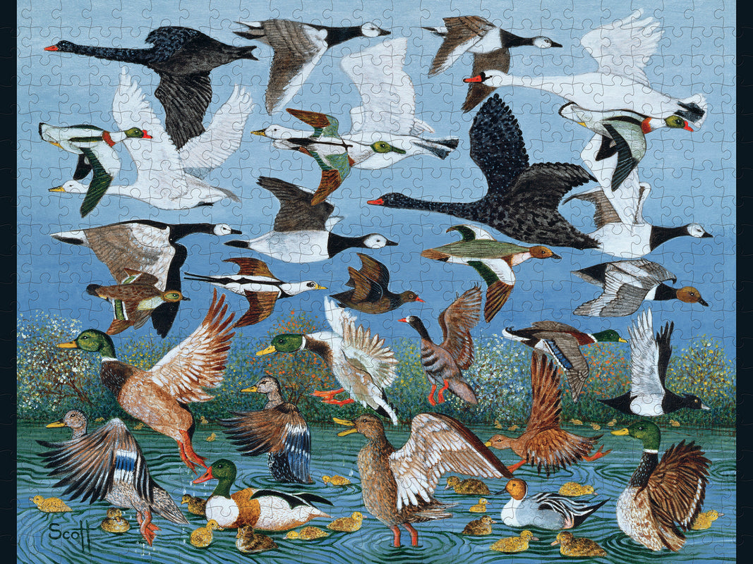 Taking Off by Pat Scott – 500 Piece Jigsaw Puzzle (Pomegranate)