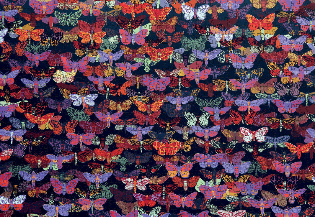 Night Flight by John Dilnot – 1000 Piece Jigsaw Puzzle (Pomegranate)