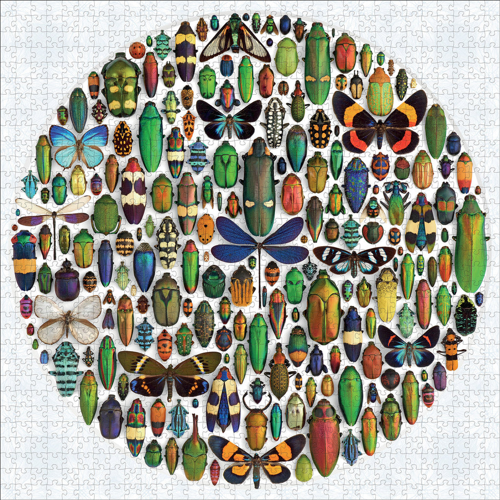 Pomegranate - Exquisite Creatures II: Insect Art by Christopher Marley - 1000 Piece Jigsaw Puzzle