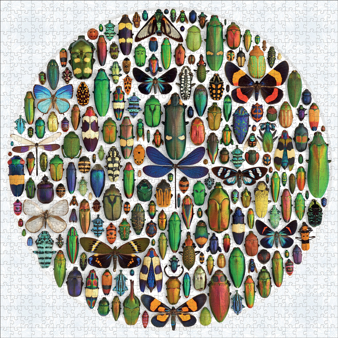 Pomegranate - Exquisite Creatures II: Insect Art by Christopher Marley - 1000 Piece Jigsaw Puzzle