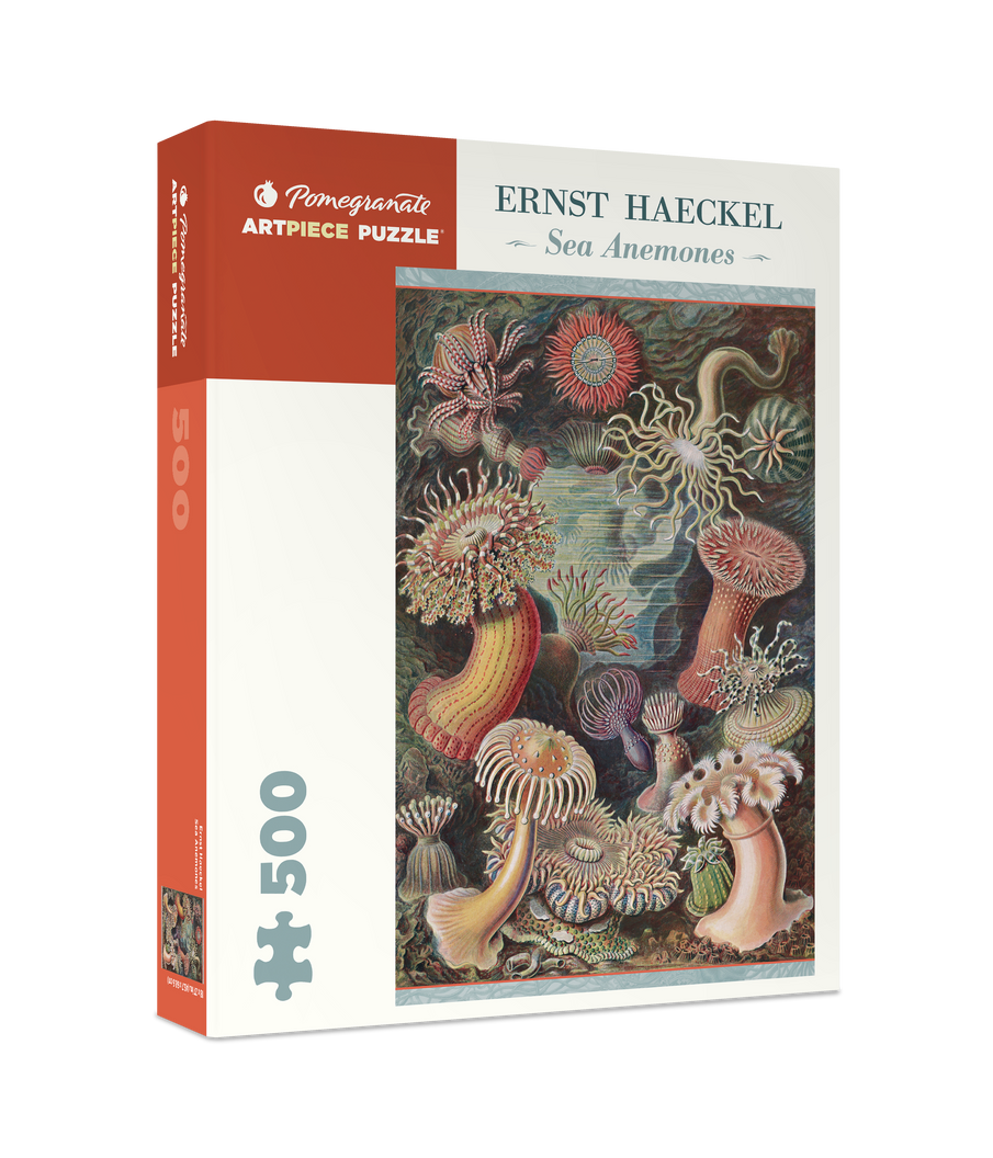 Sea Anemones by Ernst Haeckel – 500 Piece Jigsaw Puzzle (Pomegranate)