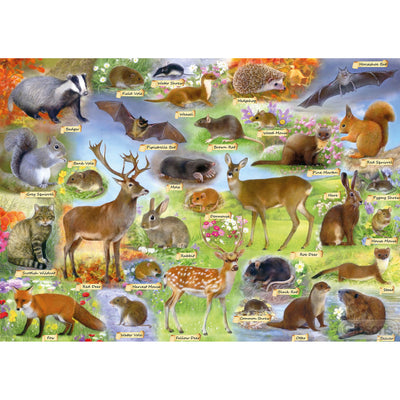 British Wildlife – 500 Piece Jigsaw Puzzle (Gibsons)