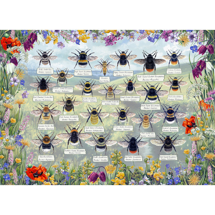 Brilliant Bees – 1000 Piece Jigsaw Puzzle (Gibsons)