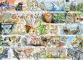 Sun Bears and Sloths – 1000 Piece Jigsaw Puzzle (Gibsons)