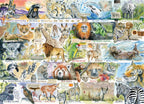 Sun Bears and Sloths – 1000 Piece Jigsaw Puzzle (Gibsons)