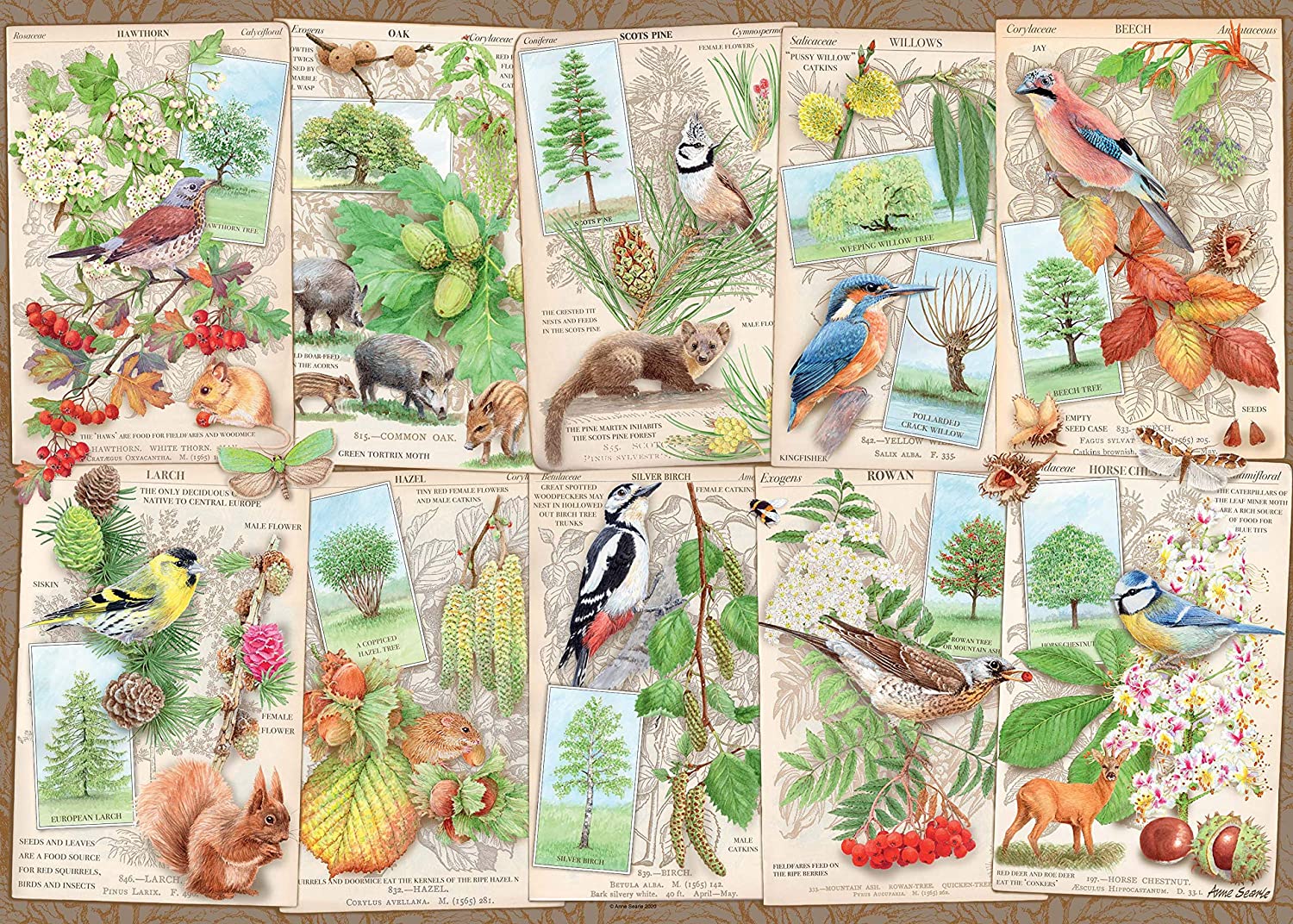 Wondrous Trees – 1000 Piece Jigsaw Puzzle (Ravensburger)