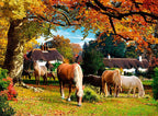 Picturesque Hampshire – 2 x 500 Piece Jigsaw Puzzle (Ravensburger)