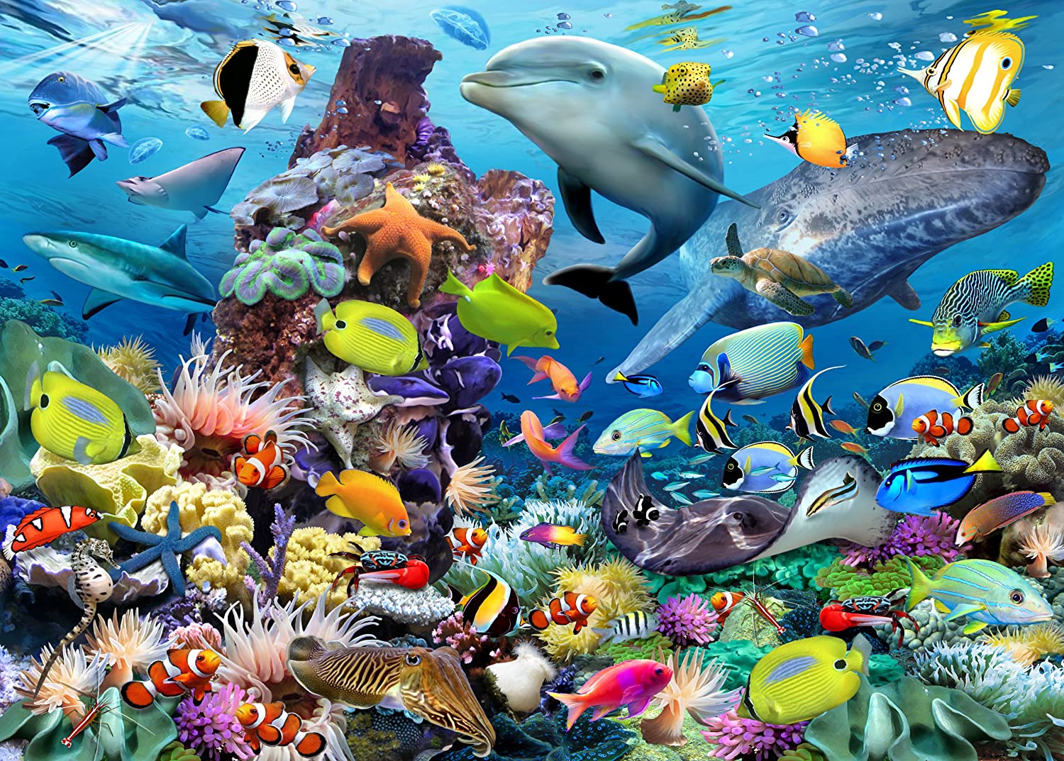 Jewels Of The Sea – 1000 Piece Jigsaw Puzzle (Ravensburger)