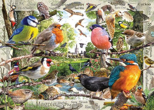 Ravensburger - Our Feathered Friends - 1000 Piece Jigsaw Puzzle