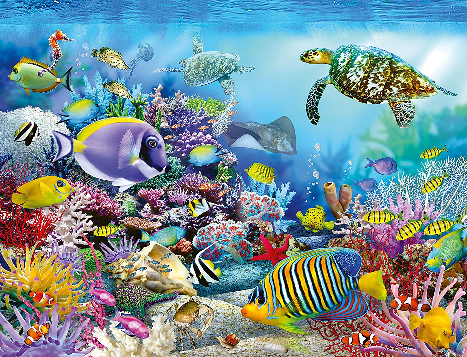 Coral Reef Mystery – 2000 Piece Jigsaw Puzzle (Ravensburger)