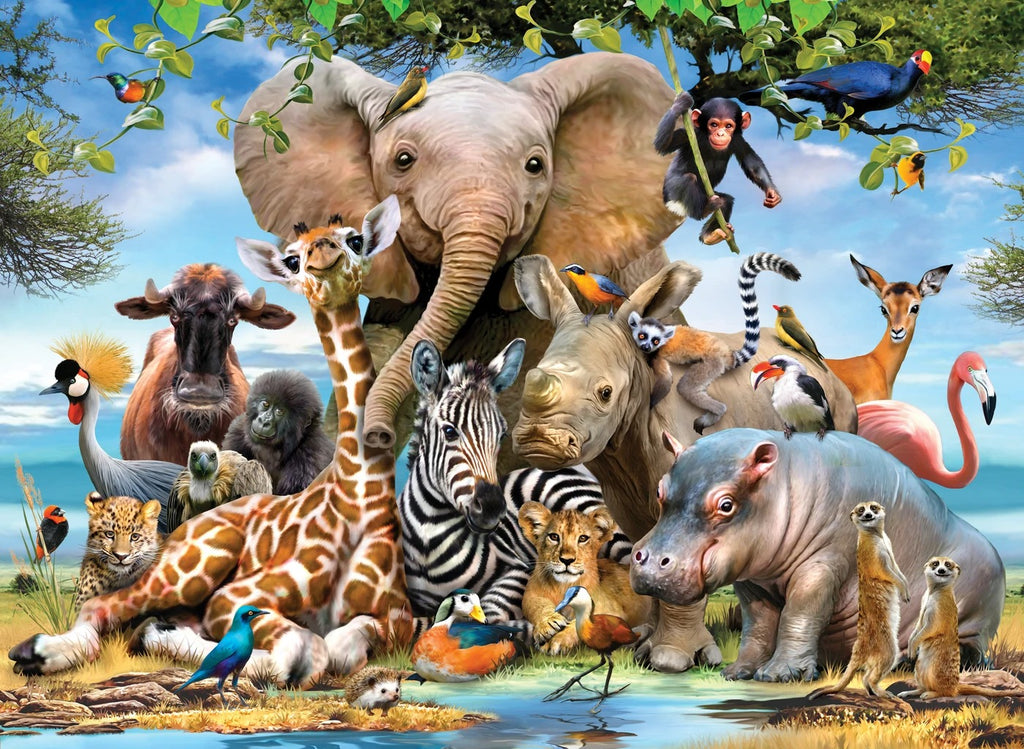 Artwork: Africa Smile – 1000 Piece Jigsaw Puzzle (Anatolian)