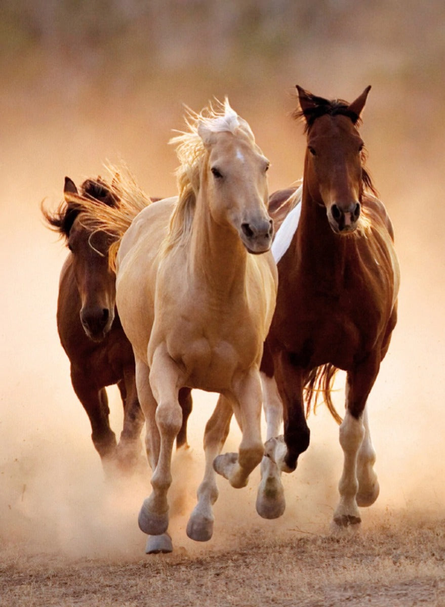 Running Horses – 1000 Piece Jigsaw Puzzle (Clementoni)