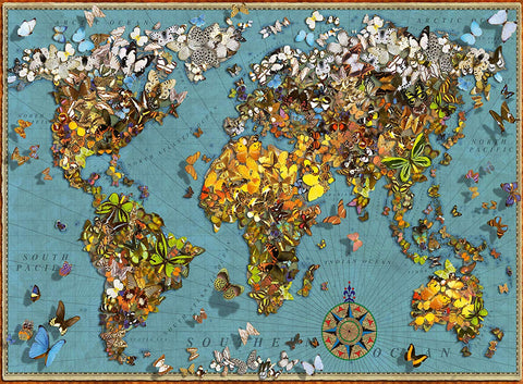 World Of Butterflies – 500 Piece Jigsaw Puzzle (Ravensburger)