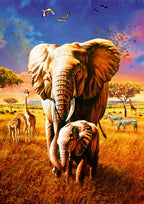 Elephant – 1000 Piece Jigsaw Puzzle (Bluebird Puzzle)