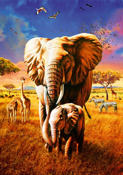 Elephant – 1000 Piece Jigsaw Puzzle (Bluebird Puzzle)
