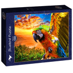 Parrot – 1000 Piece Jigsaw Puzzle (Bluebird Puzzle) - Completed Puzzle