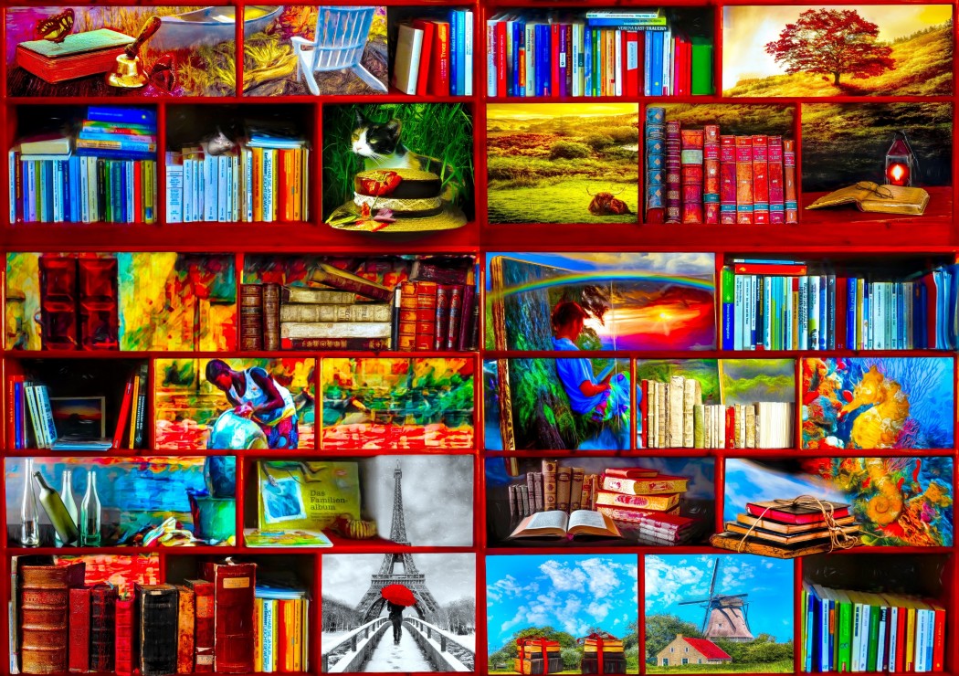 The Library The Travel Section – 1000 Piece Jigsaw Puzzle (Bluebird Puzzle)