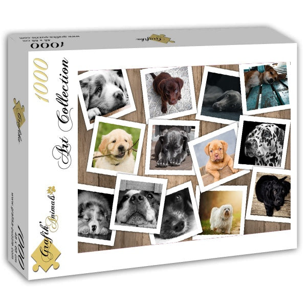 Dogs – 1000 Piece Jigsaw Puzzle (Grafika)