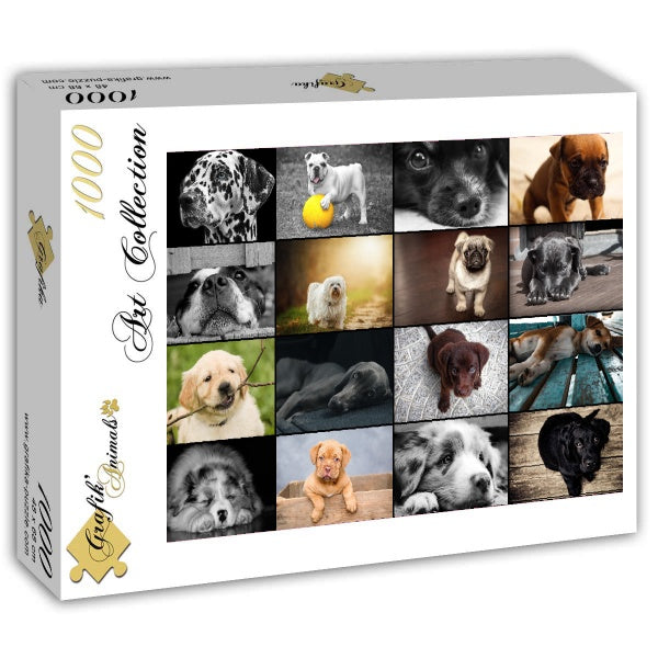 Dogs – 1000 Piece Jigsaw Puzzle (Grafika)