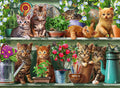 Cats On The Shelf – 500 Piece Jigsaw Puzzle (Ravensburger)