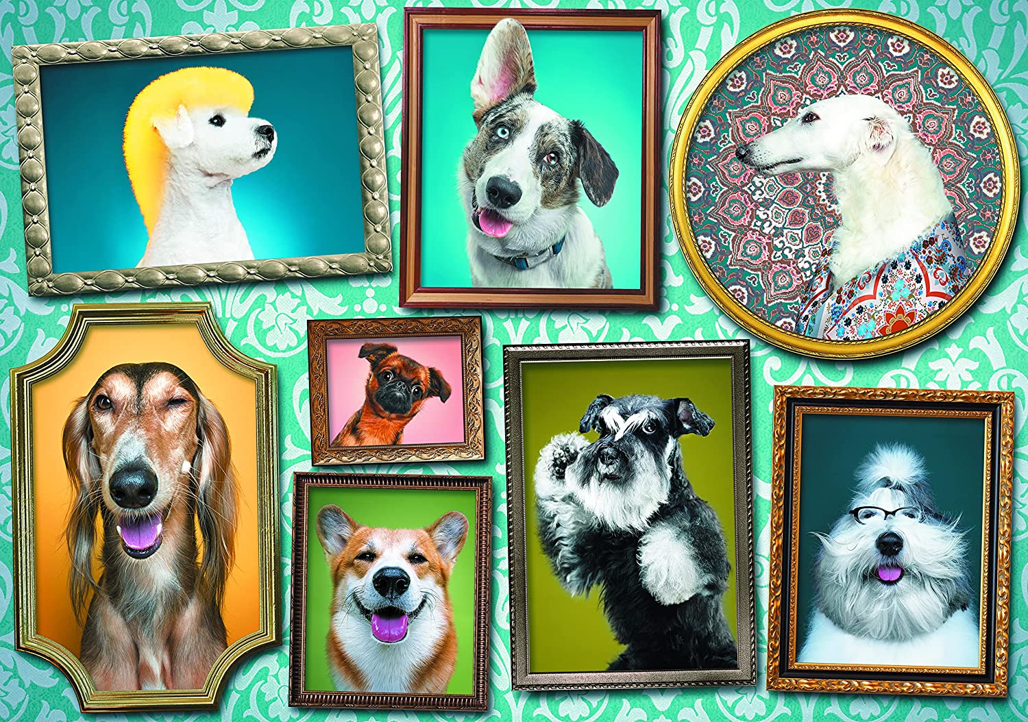 Doggies Gallery – 1000 Piece Jigsaw Puzzle (Trefl)