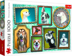Doggies Gallery – 1000 Piece Jigsaw Puzzle (Trefl)