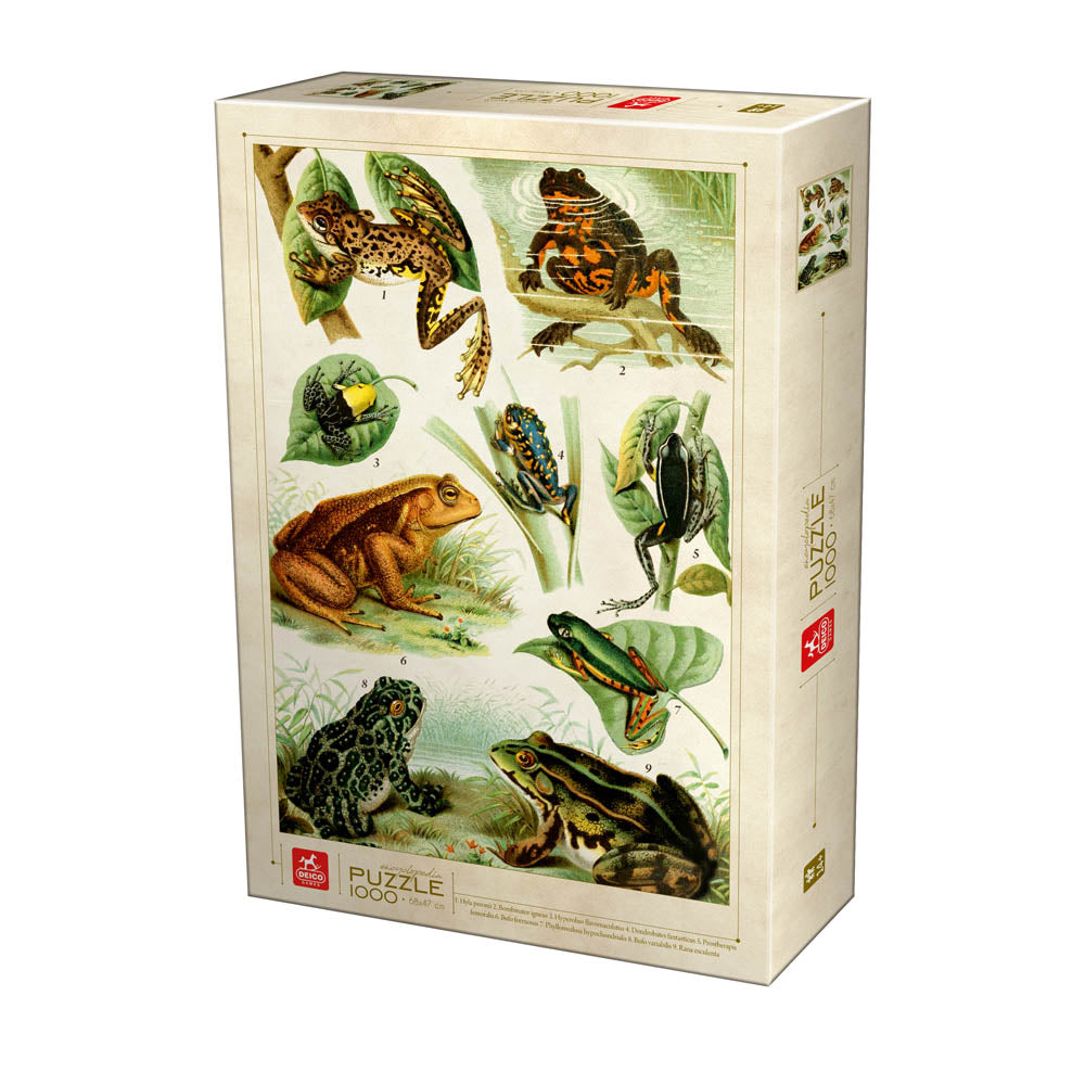 Frogs – 1000 Piece Jigsaw Puzzle (Dtoys)