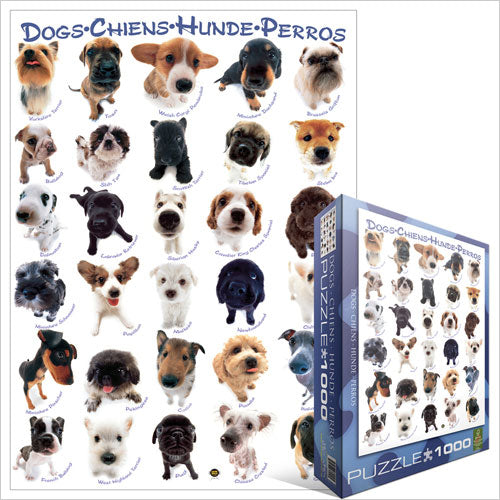 Eurographics 6000-1510 Dogs - 1000 Piece Jigsaw Puzzle