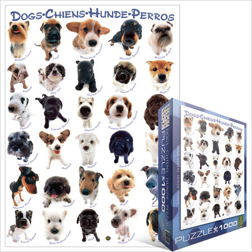 Dogs – 1000 Piece Jigsaw Puzzle (Eurographics) - Image 3