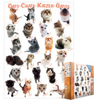 Eurographics 8300-1511 Cat Breeds 300 Piece Jigsaw Puzzle - Image 2