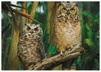 Owls – 1000 Piece Jigsaw Puzzle (Trefl)