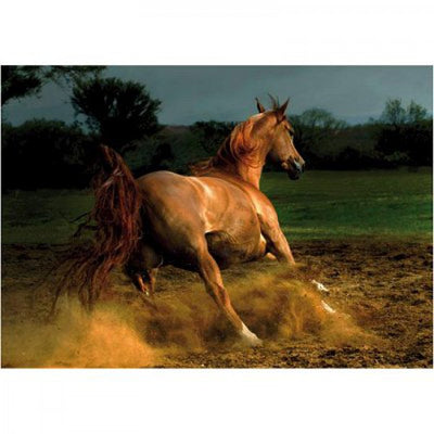 Horses: Beige Horse – 1000 Piece Jigsaw Puzzle (Dtoys)