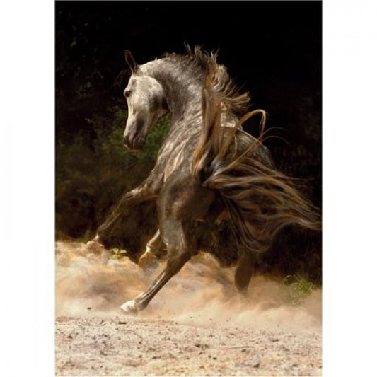 Dtoys - Horses : Horse in the Dust - 1000 Piece Jigsaw Puzzle