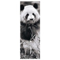 Panda in Grass – 1000 Piece Jigsaw Puzzle (Dino)
