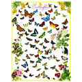 Butterflies – 1000 Piece Jigsaw Puzzle (Eurographics)