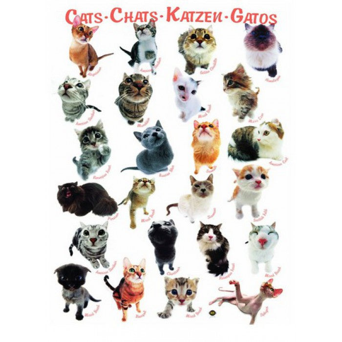 Eurographics 8300-1511 Cat Breeds 300 Piece Jigsaw Puzzle