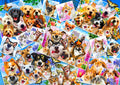 Selfie Pet Collage – 1000 Piece Jigsaw Puzzle (Bluebird Puzzle)