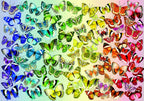 Butterflies – 1000 Piece Jigsaw Puzzle (Bluebird Puzzle)