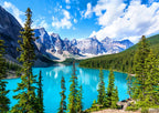 Moraine Lake in Banff National Park – 1500 Piece Jigsaw Puzzle (Bluebird Puzzle)