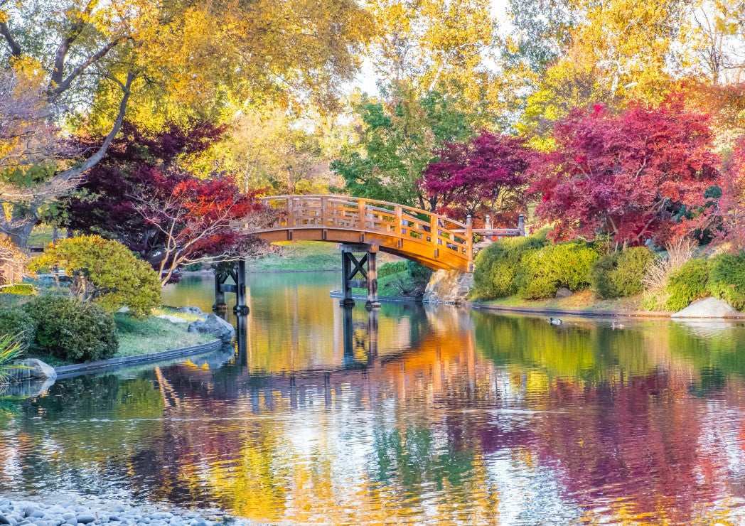 Midwest Botanical Garden – 1500 Piece Jigsaw Puzzle (Bluebird Puzzle)