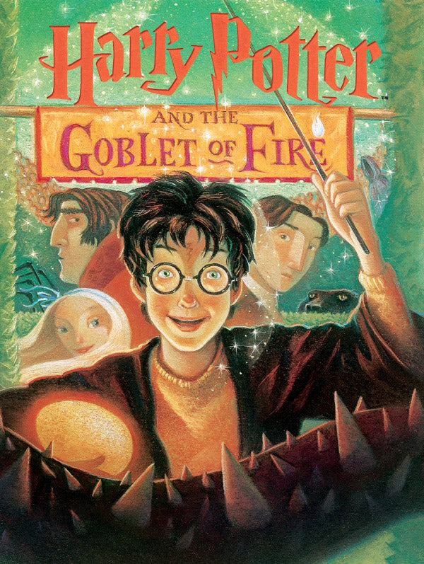 New York Puzzle Company - Harry Potter and the Goblet of Fire - 1000 Piece Jigsaw Puzzle
