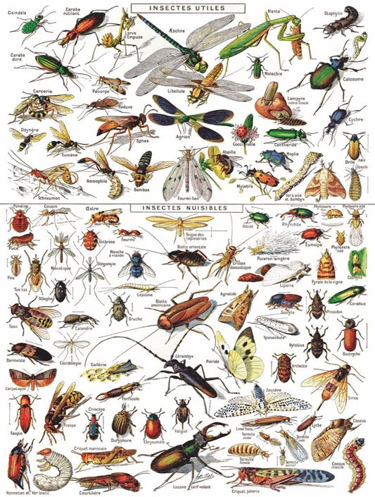 New York Puzzle Company - Vintage Images - Insects - 1000 Piece Jigsaw Puzzle